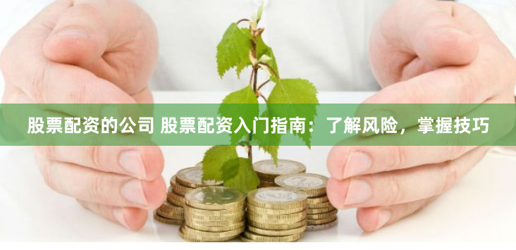 股票配资的公司 股票配资入门指南：了解风险，掌握技巧
