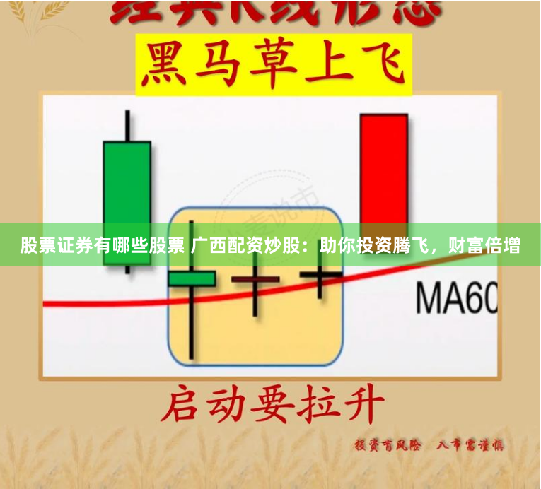 股票证券有哪些股票 广西配资炒股：助你投资腾飞，财富倍增
