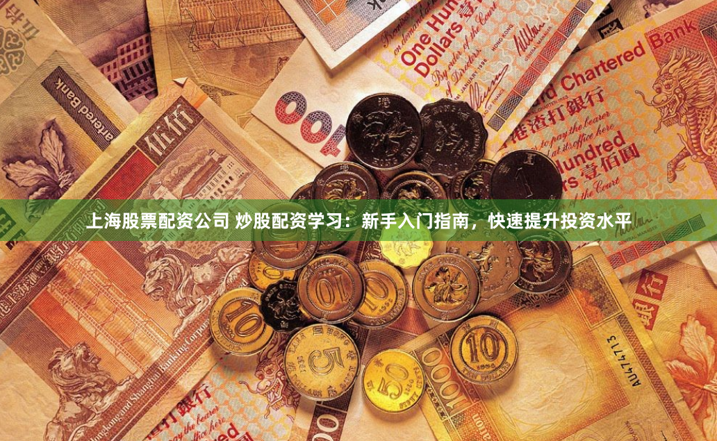 上海股票配资公司 炒股配资学习：新手入门指南，快速提升投资水平
