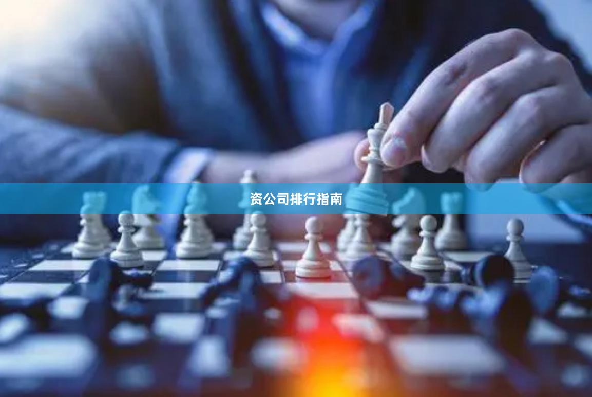 资公司排行指南